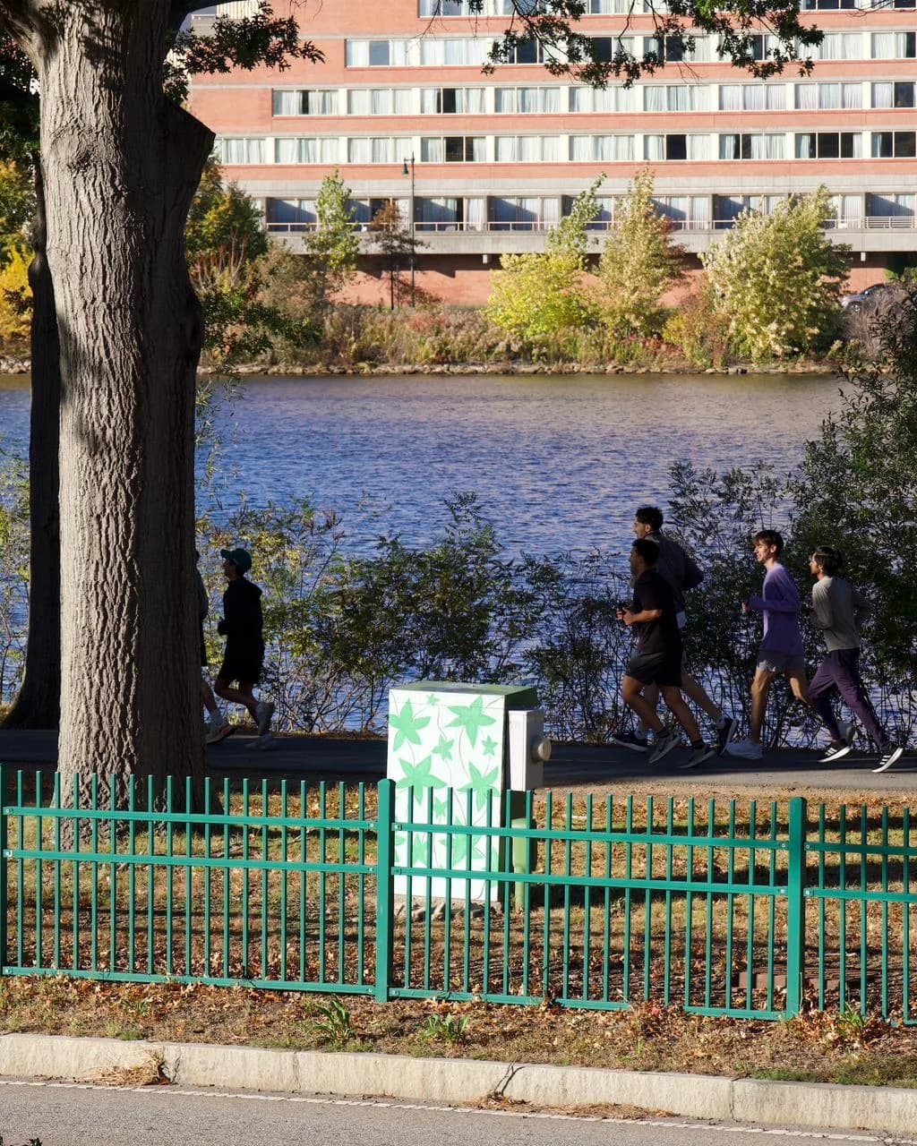 Run Day, photo 5